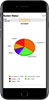 Real time pie chart showing number of available agents